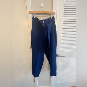 aritzia wilfred tie front pants with belt